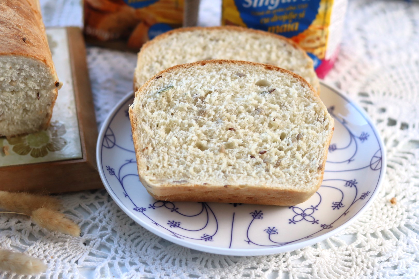 Paine de casa rapida