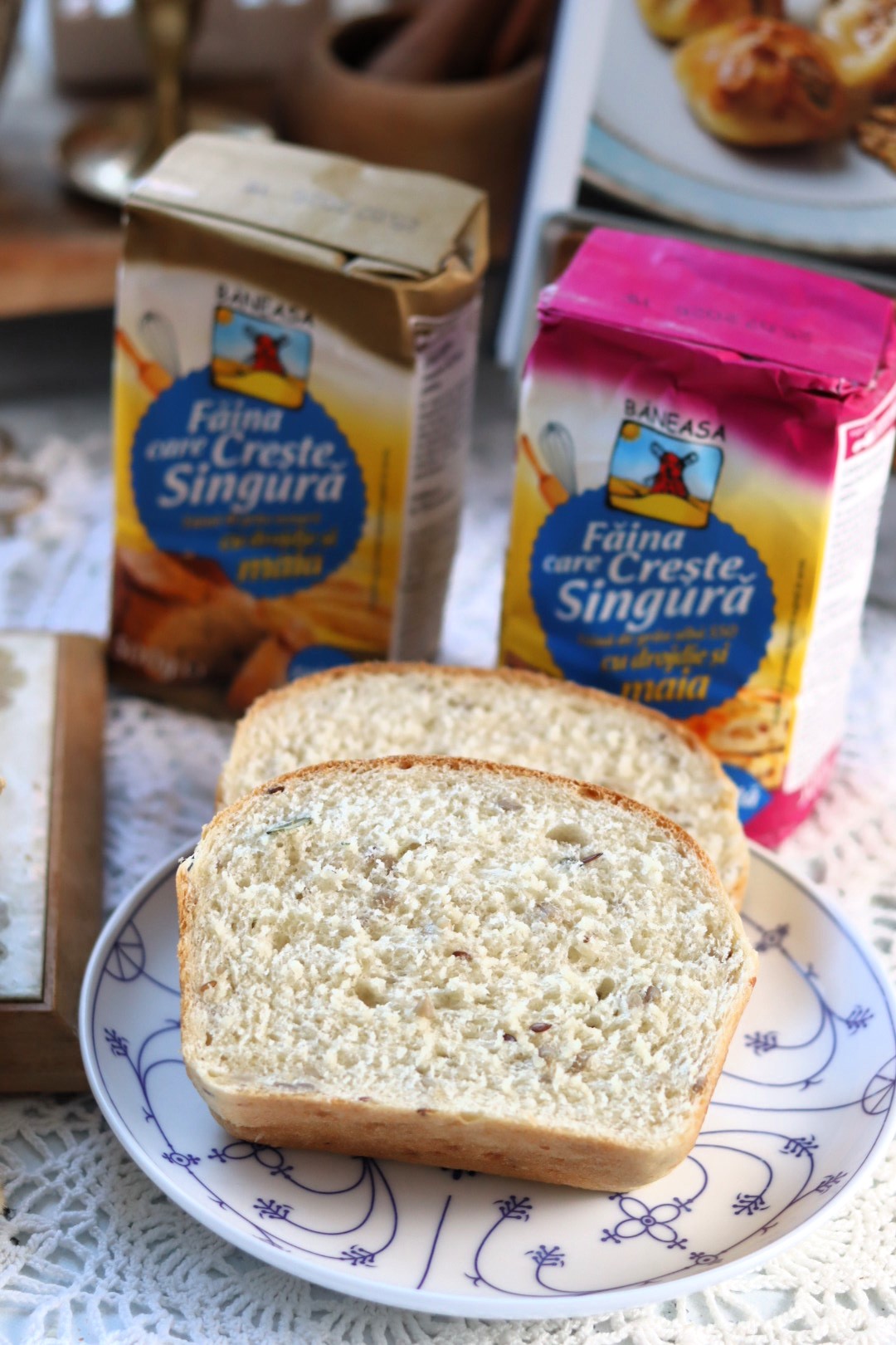 Paine de casa rapida